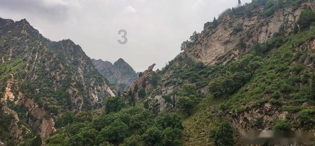 香料的“旅程”：香料为何成为宋代人们追捧的商品？